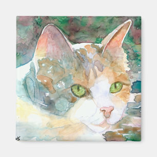 Íman Ímã do gato de chita