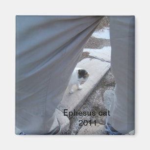 Íman Ímã do gato de Ephesus