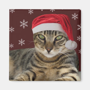 Íman Ímã do gato do papai noel