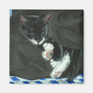 Íman Ímã do gato do smoking do sono