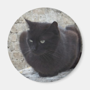 Íman Ímã do gato preto