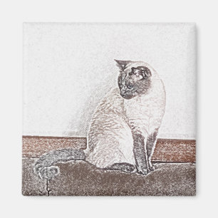 Íman Ímã do gato Siamese