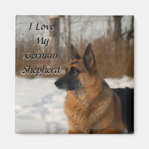 Íman Ímã do german shepherd