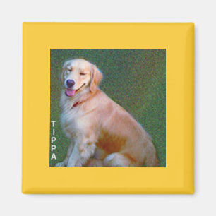 Íman Ímã do golden retriever