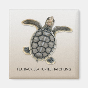Íman Ímã do Hatchling da tartaruga de mar de Flatback