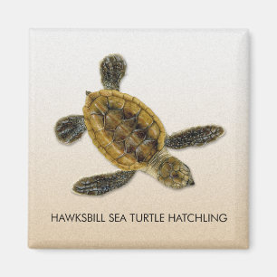 Íman Ímã do Hatchling da tartaruga de mar de Hawksbil