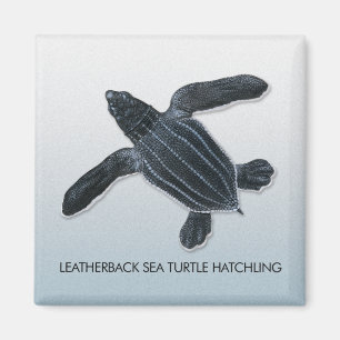 Íman Ímã do Hatchling da tartaruga de mar do