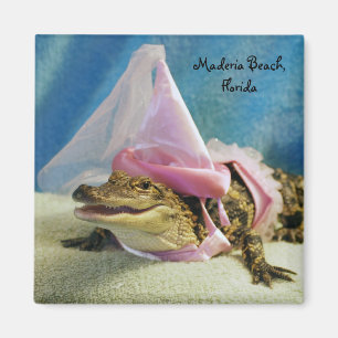 Íman ímã do jacaré da princesa