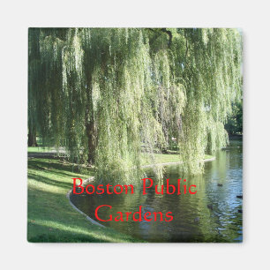 Íman Ímã do jardim público de Boston
