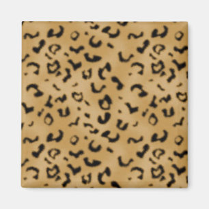 Íman ímã do leopardo