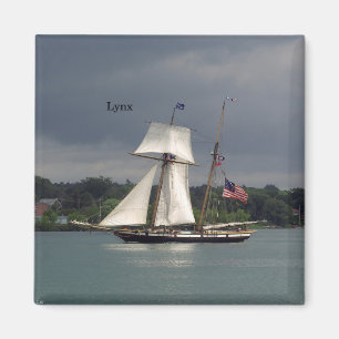 Íman Ímã do lince