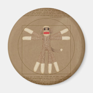 Íman Ímã do macaco de Vitruvian