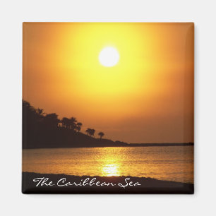 Íman Ímã do mar das caraíbas de Cancun México do Ma