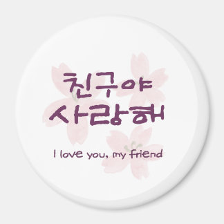 Íman Ímã do Melhor Amigo Coreano