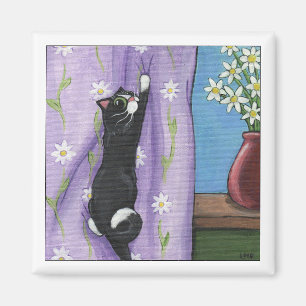 Íman Ímã do montanhista da cortina