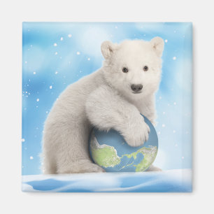Íman Ímã do mundo do urso polar