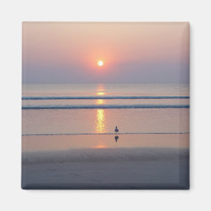 Íman Ímã do nascer do sol do oceano de Daytona Beach