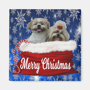 Íman Ímã do Natal do tzu de Shih