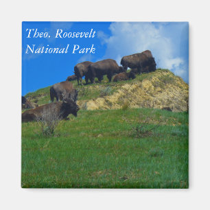 Íman Ímã do ND do parque nacional de Theodore Rooseve