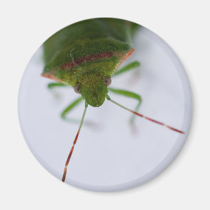 Íman Ímã do olho do fedor