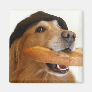 Íman Ímã do pão francês do golden retriever
