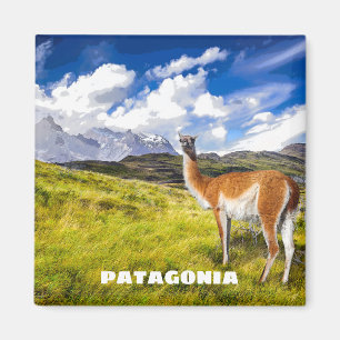 Íman Ímã do Patagonia