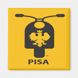 Íman Ímã do patinete de Pisa