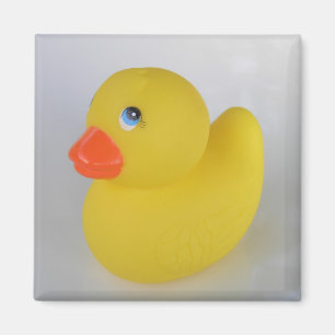 Íman Ímã do pato
