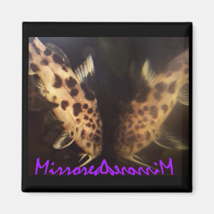 Íman Ímã do peixe-gato (espelhado)