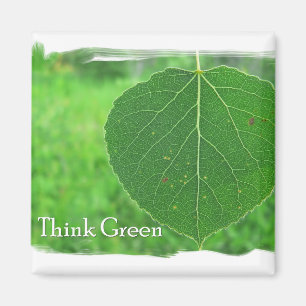 Íman Ímã do pense verde