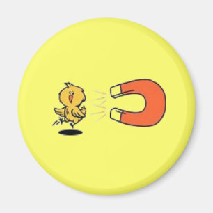 Íman Ímã do pintinho