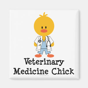 Íman Ímã do pintinho da medicina veterinária