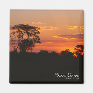 Íman Ímã do por do sol da acácia