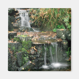 Íman Ímã do prazer de Gardent