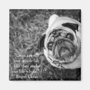Íman Ímã do Pug