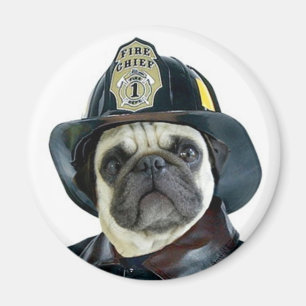 Íman Ímã do Pug do bombeiro