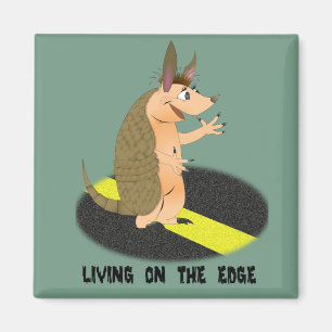 Íman Ímã do quadrado da borda do tatu