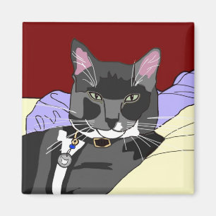 Íman Ímã do quadrado do gato de Smokey