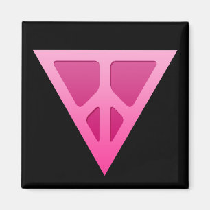 Íman Ímã do quadrado do triângulo da Q-Paz