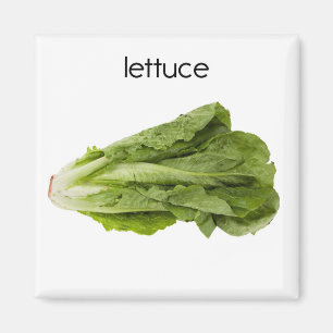 Íman Ímã do refrigerador da alface