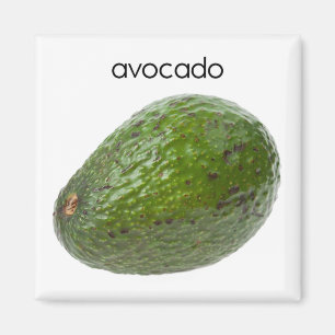 Íman Ímã do refrigerador do abacate