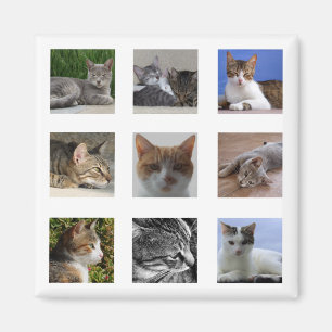 Íman Ímã do refrigerador do gato