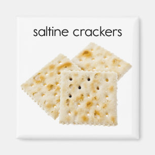 Íman Ímã do refrigerador dos biscoitos do Saltine