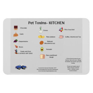 ÍMAN  ÍMÃ DO REFRIGERADOR PARA A SEGURANÇA DO ANIMAL 