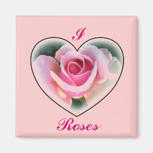 Íman Ímã do rosa do rosa