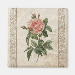 Íman Ímã do rosa do rosa do vintage