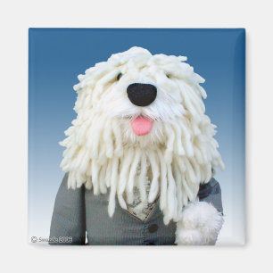 Íman Ímã do Sheepdog de Sherman