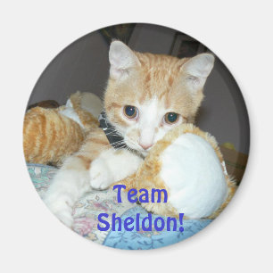 Íman ímã do sheldon da equipe
