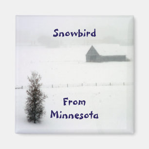 Íman Ímã do Snowbird de Minnesota