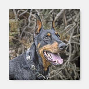 Íman Ímã do sorriso do Doberman